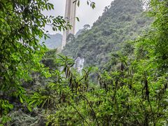 -靖西鹅泉风景区