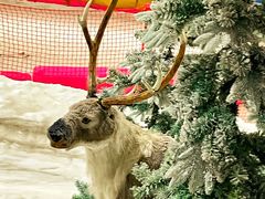 -赤马湖体育滑雪