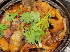 麻辣鲶鱼煲-川香煲(茅台路店)