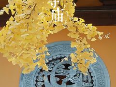 -龙华寺