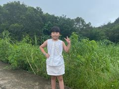 -广东惠东海龟国家级自然保护区