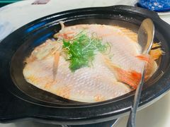 -陶陶居酒家(新天地店)