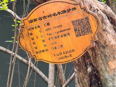 -湖南省立第一师范学校旧址