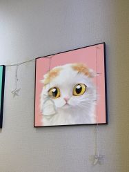 -洗脸猫·洗脸吧