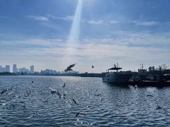 -海河外滩公园