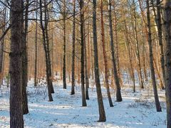 -帽儿山国家森林公园