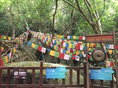 -七仙岭温泉国家森林公园