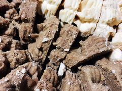 -香港珍妮曲奇聪明小熊饼干(迪美购物中心店)