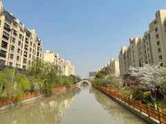 -高东镇樱花园