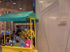 -mango tree芒果树泰国餐厅(青岛万象城店)