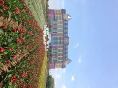 iphone_upload_pic-广州花之恋城堡酒店