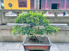 -西园戒幢律寺