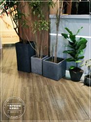 -一東造型烫发染发