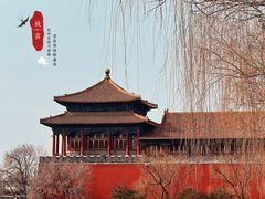 -故宫博物院(故宫)