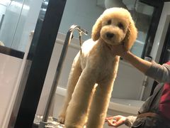 -宠物家(角门东店)