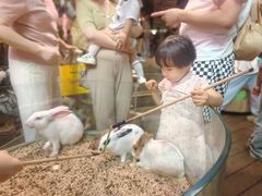 -正佳雨林生态植物园
