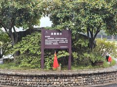 -山沟沟景区