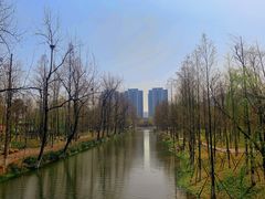 -洋湖国家湿地公园