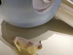 -中海环宇荟