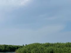 -白洋淀景区