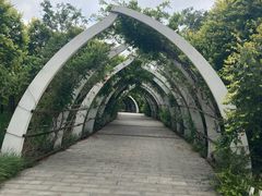 -天津东丽湖风景区