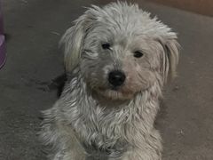 -大润发(梅兰东路店)