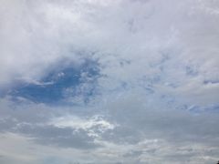 sky-白鹭洲公园