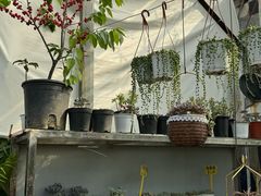 -桂林市花鸟市场