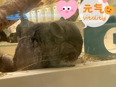 -龙猫仔乐园(惠福东路店)