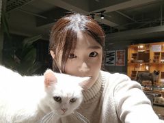 -浣熊柯尔鸭土拨鼠·电玩咖