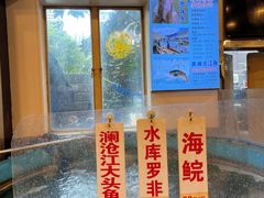 -大嫂镬仔·焖鸡煲·啫啫煲(逢源路店)