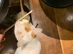 -星巴克臻选(思南公馆店)