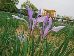 -太阳宫公园