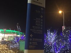 -大连体育中心体育馆
