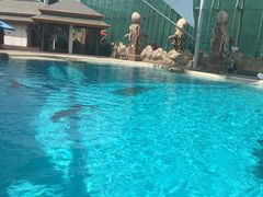 -新加坡水上探险乐园