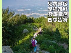 -大觉寺-停车场