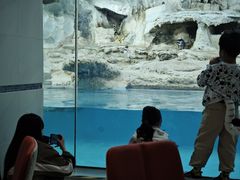 -帝企鹅自助餐厅•儿童岛•真企鹅(长隆企鹅酒店)