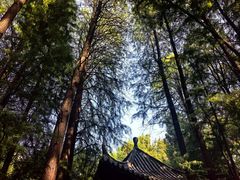 -东湖落雁景区