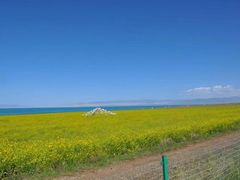 -青海湖国家重点风景名胜区