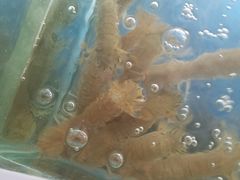 -雅逸居海鲜小厨