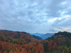 -山王坪喀斯特国家生态公园