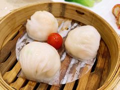 金牌虾饺皇-点都德(华强南店)