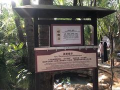 -三亚海棠湾南田温泉神龙谷