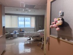 -杭州贝瑞斯美华妇儿医院·早孕·产检·儿科