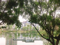 -北湖公园