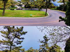 -棒棰岛宾馆景区