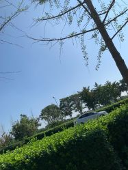 -HEYAN长风荷妍专业脱毛美肤
