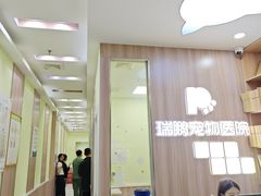 -瑞鹏宠物医院·宠保定点·心脏科·内科(御桥分院)