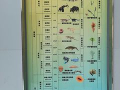-中国地质大学逸夫博物馆