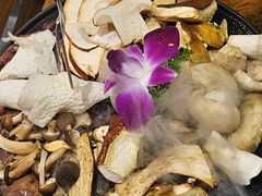 -一朵菌·野生菌探索家火锅(南亚店)